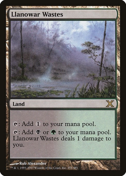 Image for Llanowar Wastes (355) (10th Edition) - Magic: The Gathering