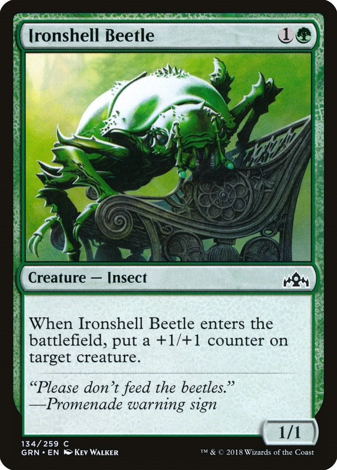 Image for Ironshell Beetle (134) (Guilds of Ravnica) - Magic: The Gathering
