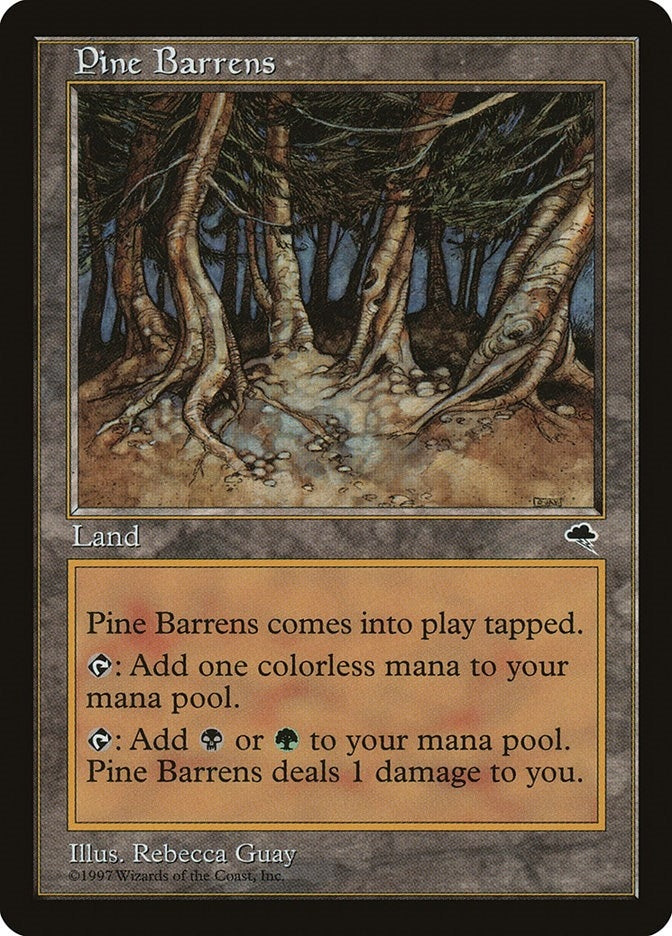Image for Pine Barrens (321) (Tempest) - Magic: The Gathering