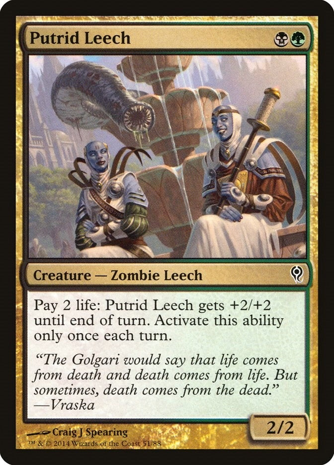 Image for Putrid Leech (51) (Duel Decks: Jace vs. Vraska) - Magic: The Gathering