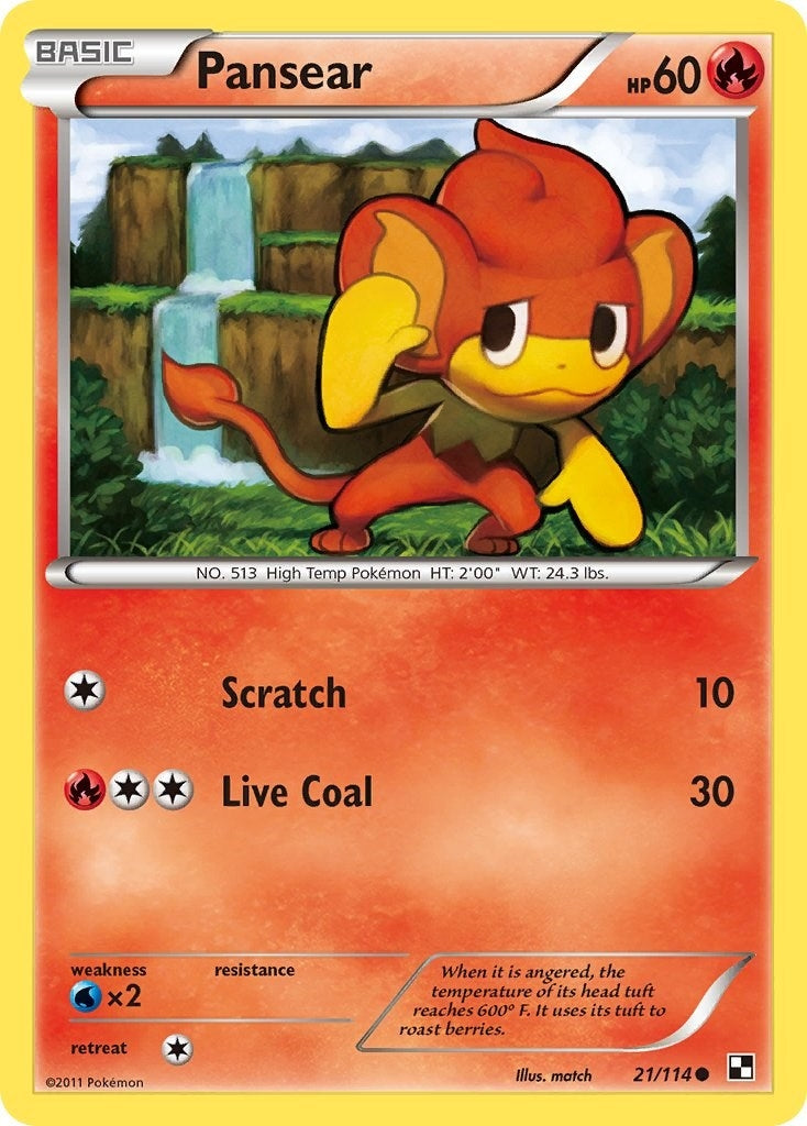 Image for Pansear (21/114) (Black and White) - Pokemon