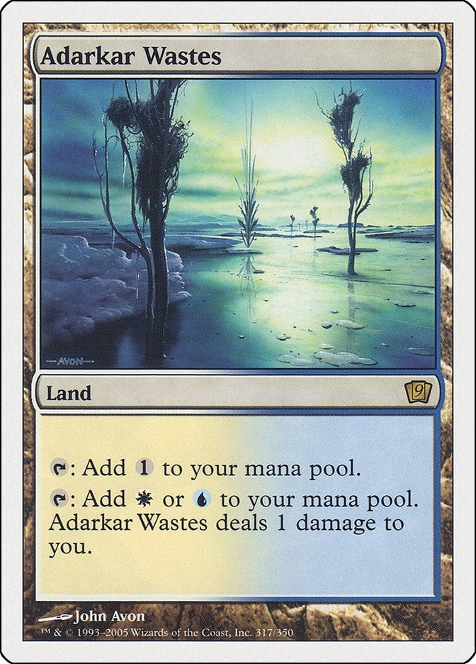 Image for Adarkar Wastes (317) (9th Edition) - Magic: The Gathering