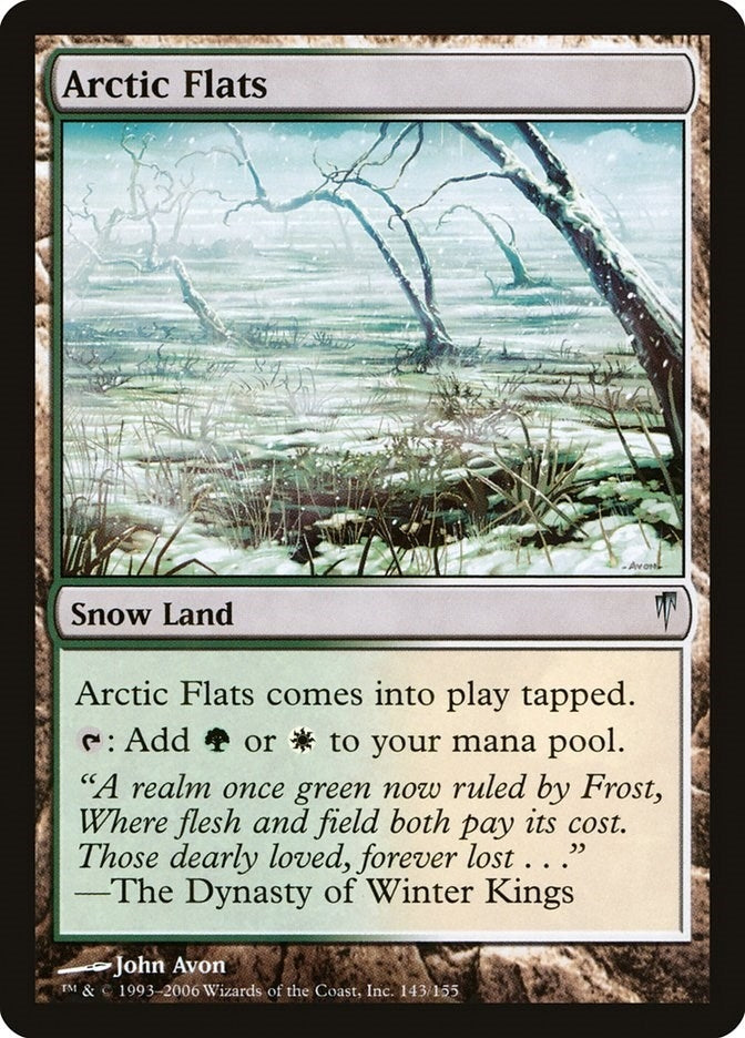 Image for Arctic Flats (143) (Coldsnap) - Magic: The Gathering