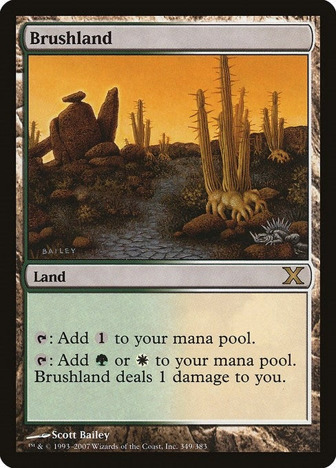 Image for Brushland (349) (10th Edition) - Magic: The Gathering