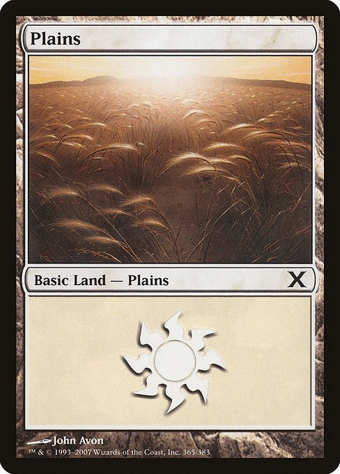 Image for Plains (365) (365) (10th Edition) - Magic: The Gathering