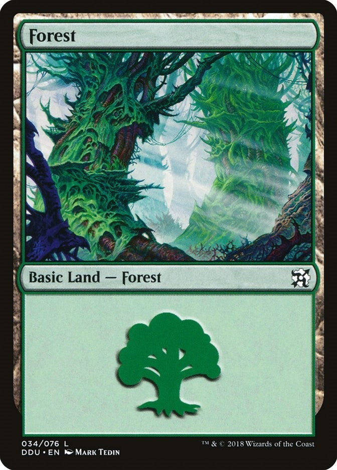Image for Forest (034) (34) (Duel Decks: Elves vs. Inventors) - Magic: The Gathering