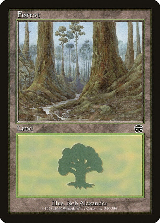 Image for Forest (349) (349) (Mercadian Masques) - Magic: The Gathering