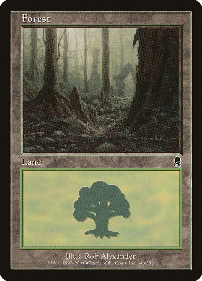 Image for Forest (348) (348) (Odyssey) - Magic: The Gathering