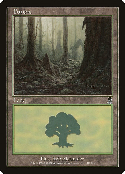 Image for Forest (348) (348) (Odyssey) - Magic: The Gathering