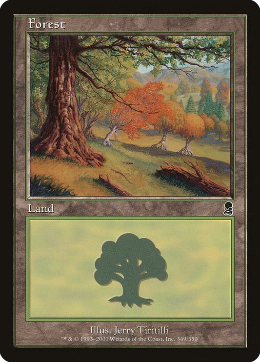 Image for Forest (349) (349) (Odyssey) - Magic: The Gathering