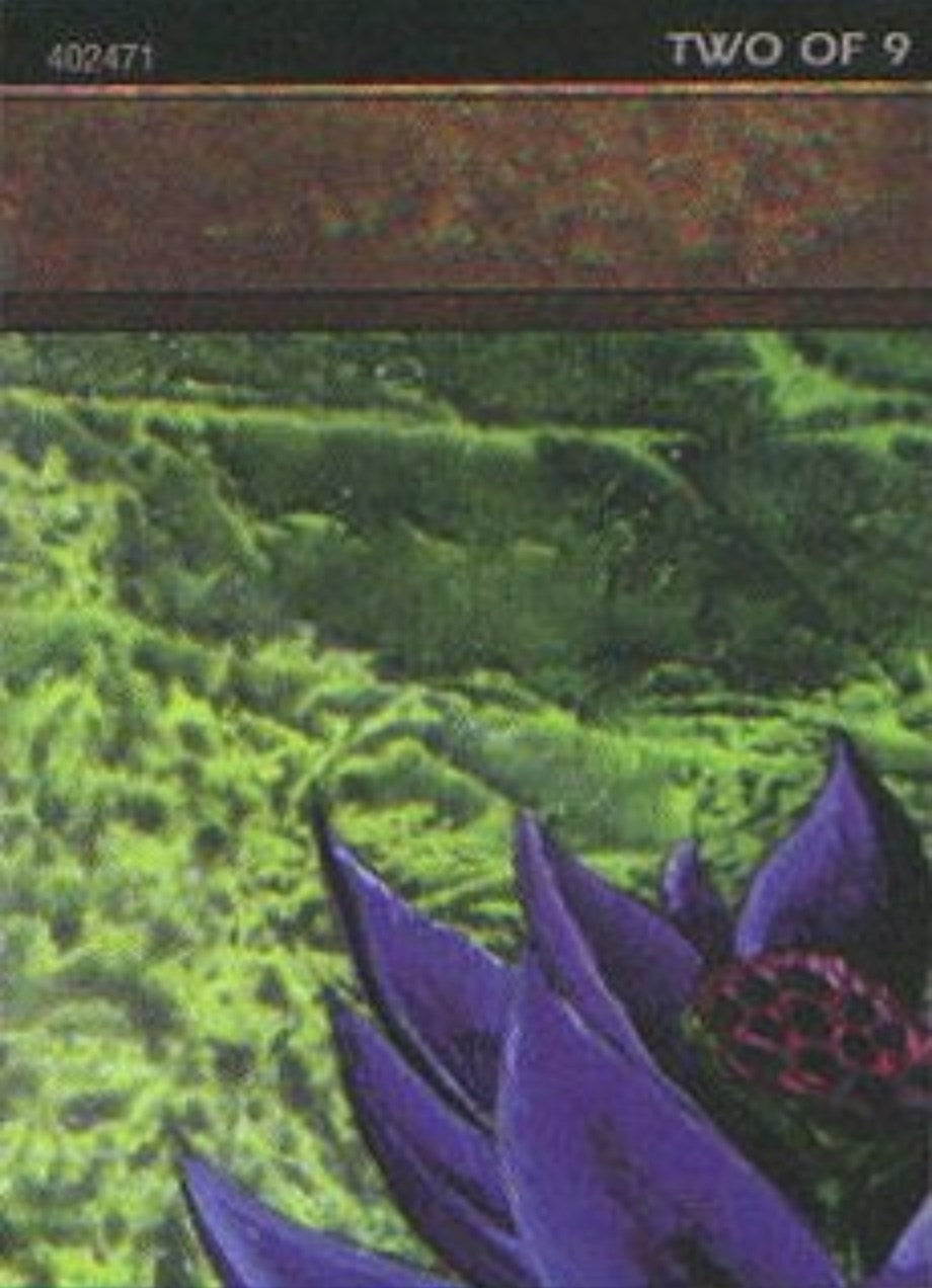 Image for Black Lotus (2 of 9) (Ultra Pro Puzzle Quest) (1) (Media Promos) - Magic: The Gathering