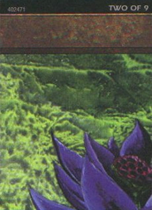 Image for Black Lotus (2 of 9) (Ultra Pro Puzzle Quest) (1) (Media Promos) - Magic: The Gathering