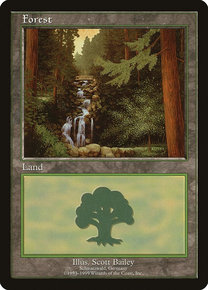 Image for Forest - Schwarzwald (1) (European Lands) - Magic: The Gathering