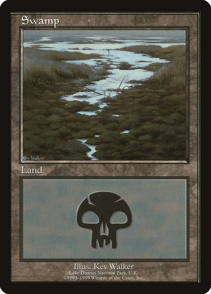 Image for Swamp - Lake District National Park (10) (European Lands) - Magic: The Gathering