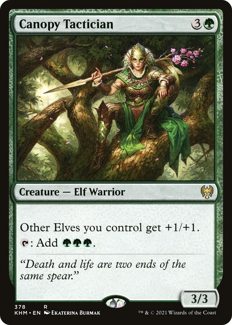 Image for Canopy Tactician (378) (Kaldheim) - Magic: The Gathering