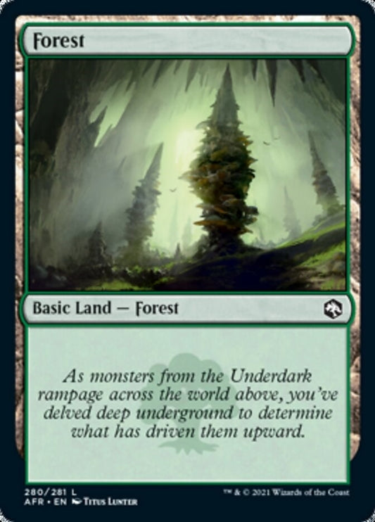 Image for Forest (280) (280) (Adventures in the Forgotten Realms) - Magic: The Gathering