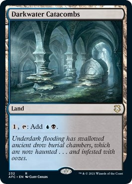 Image for Darkwater Catacombs (232) (Commander: Adventures in the Forgotten Realms) - Magic: The Gathering