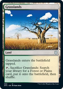 Image for Grasslands (242) (Commander: Adventures in the Forgotten Realms) - Magic: The Gathering