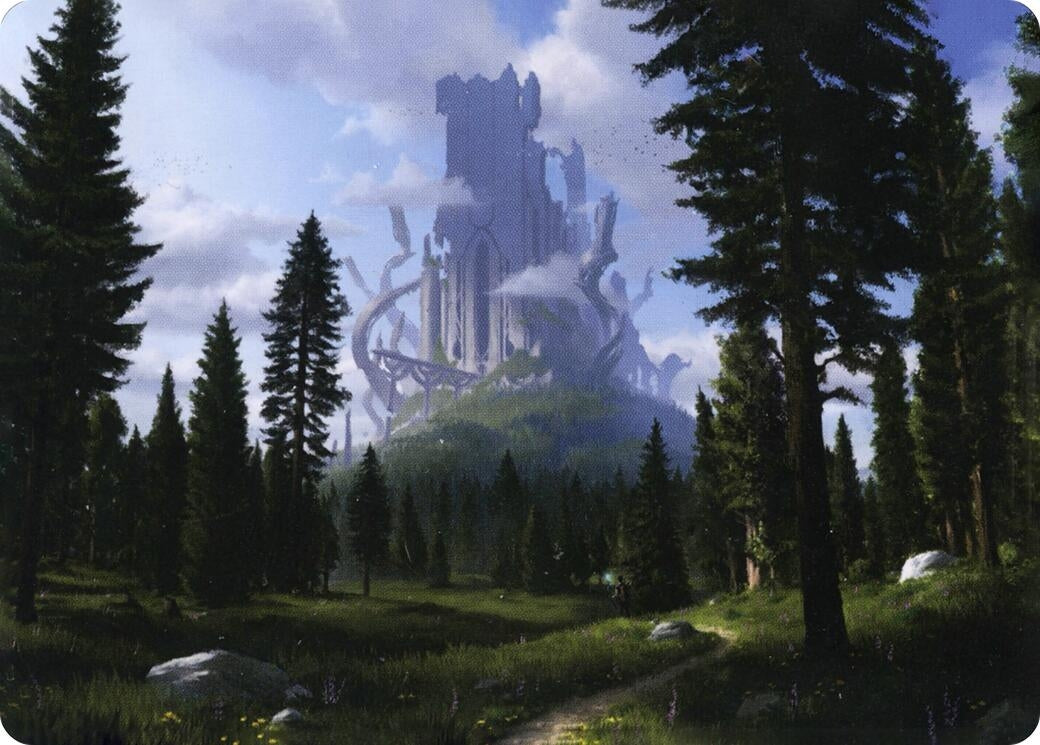 Image for Forest (61/81) Art Card (61) (Art Series: Adventures in the Forgotten Realms) - Magic: The Gathering