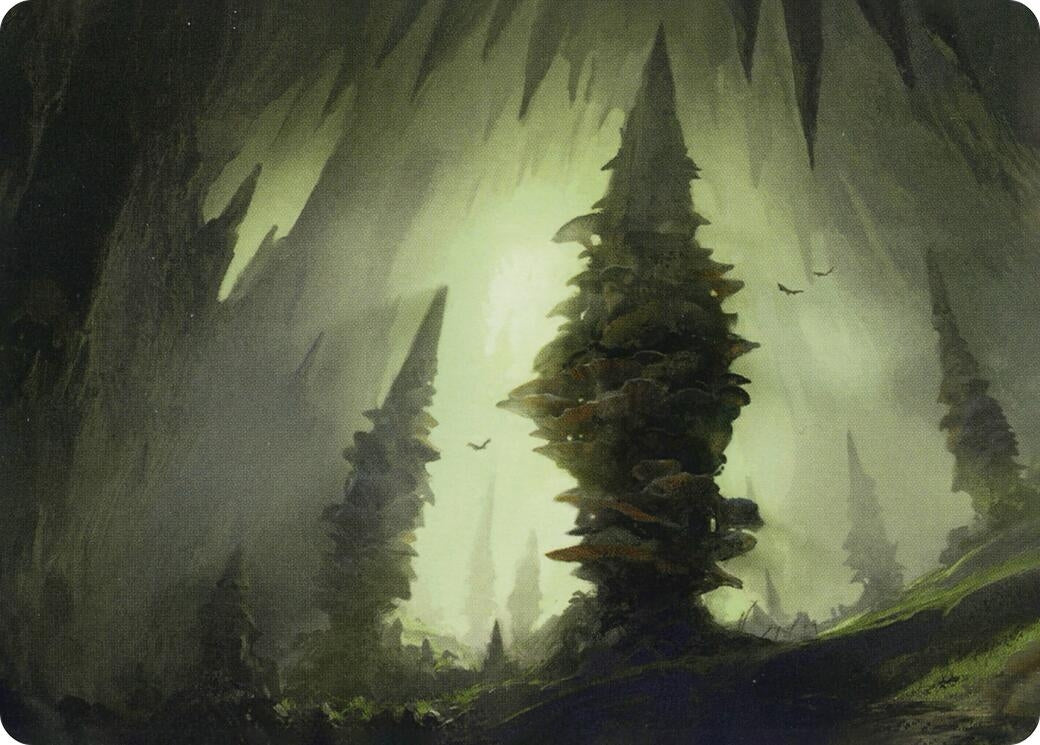 Image for Forest (55/81) Art Card (55) (Art Series: Adventures in the Forgotten Realms) - Magic: The Gathering