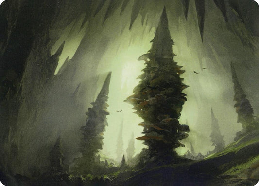 Image for Forest (55/81) Art Card (55) (Art Series: Adventures in the Forgotten Realms) - Magic: The Gathering