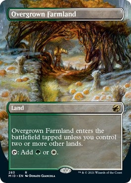 Image for Overgrown Farmland (Borderless) (283) (Innistrad: Midnight Hunt) - Magic: The Gathering