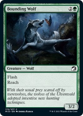 Image for Bounding Wolf (170) (Innistrad: Midnight Hunt) - Magic: The Gathering