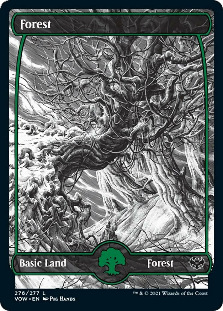 Image for Forest (276) (276) (Innistrad: Crimson Vow) - Magic: The Gathering