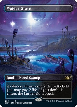 Image for Watery Grave (Borderless) (278) (Unfinity) - Magic: The Gathering