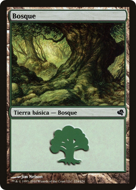 Image for Forest (Spanish) - "Bosque" (224) (224) (Magic Encyclopedia 2011 (Salvat)) - Magic: The Gathering