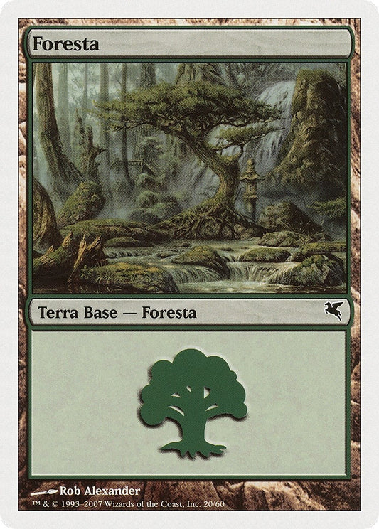 Image for Forest (Italian) - "Foresta" (K20) (K20) (Magic Encyclopedia 2005 (Salvat/Hachette)) - Magic: The Gathering