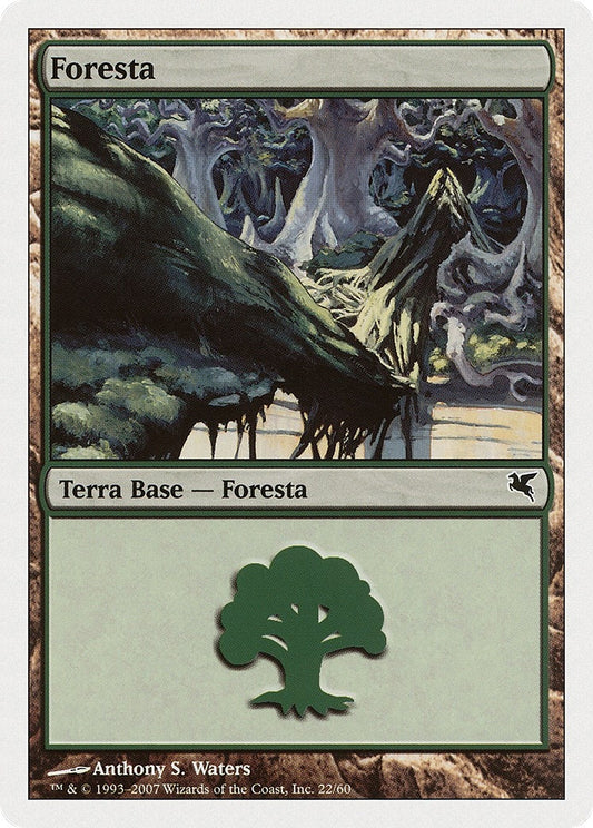Image for Forest (Italian) - "Foresta" (K22) (K22) (Magic Encyclopedia 2005 (Salvat/Hachette)) - Magic: The Gathering