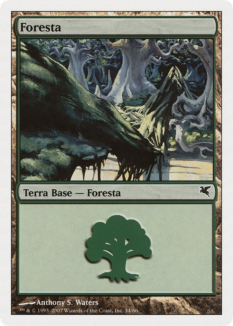 Image for Forest (Italian) - "Foresta" (K34) (K34) (Magic Encyclopedia 2005 (Salvat/Hachette)) - Magic: The Gathering