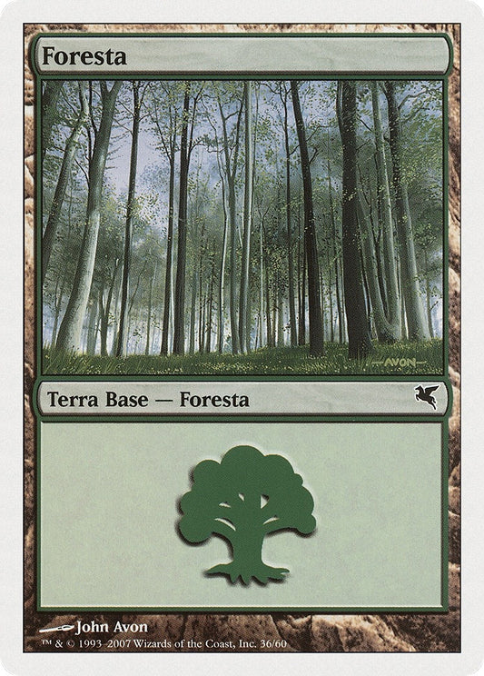 Image for Forest (Italian) - "Foresta" (I36) (I36) (Magic Encyclopedia 2005 (Salvat/Hachette)) - Magic: The Gathering