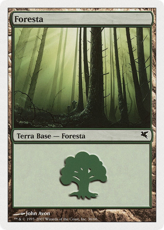 Image for Forest (Italian) - "Foresta" (L36) (L36) (Magic Encyclopedia 2005 (Salvat/Hachette)) - Magic: The Gathering