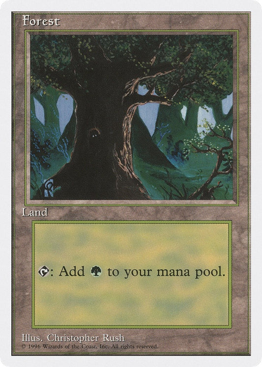 Image for Forest (C) (67) (Introductory Two-Player Set) - Magic: The Gathering