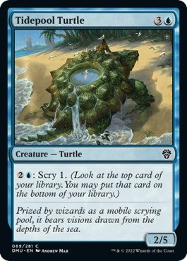 Image for Tidepool Turtle (69) (Dominaria United) - Magic: The Gathering