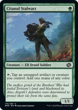Image for Citanul Stalwart (175) (The Brothers' War) - Magic: The Gathering