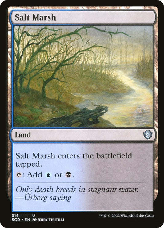 Image for Salt Marsh (316) (Starter Commander Decks) - Magic: The Gathering