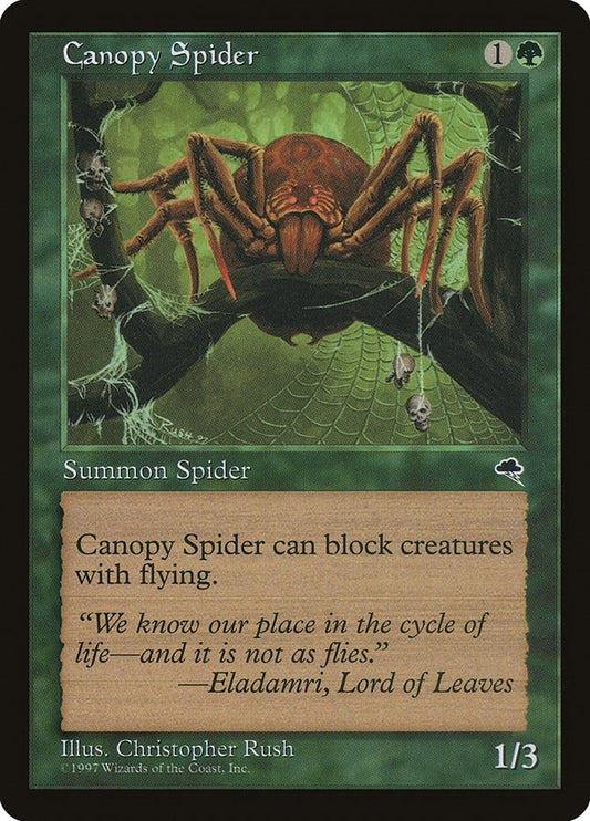 Image for Canopy Spider (217) (Tempest) - Magic: The Gathering