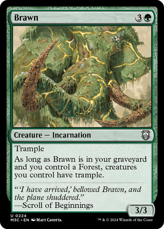 Image for Brawn (224) (Commander: Modern Horizons 3) - Magic: The Gathering