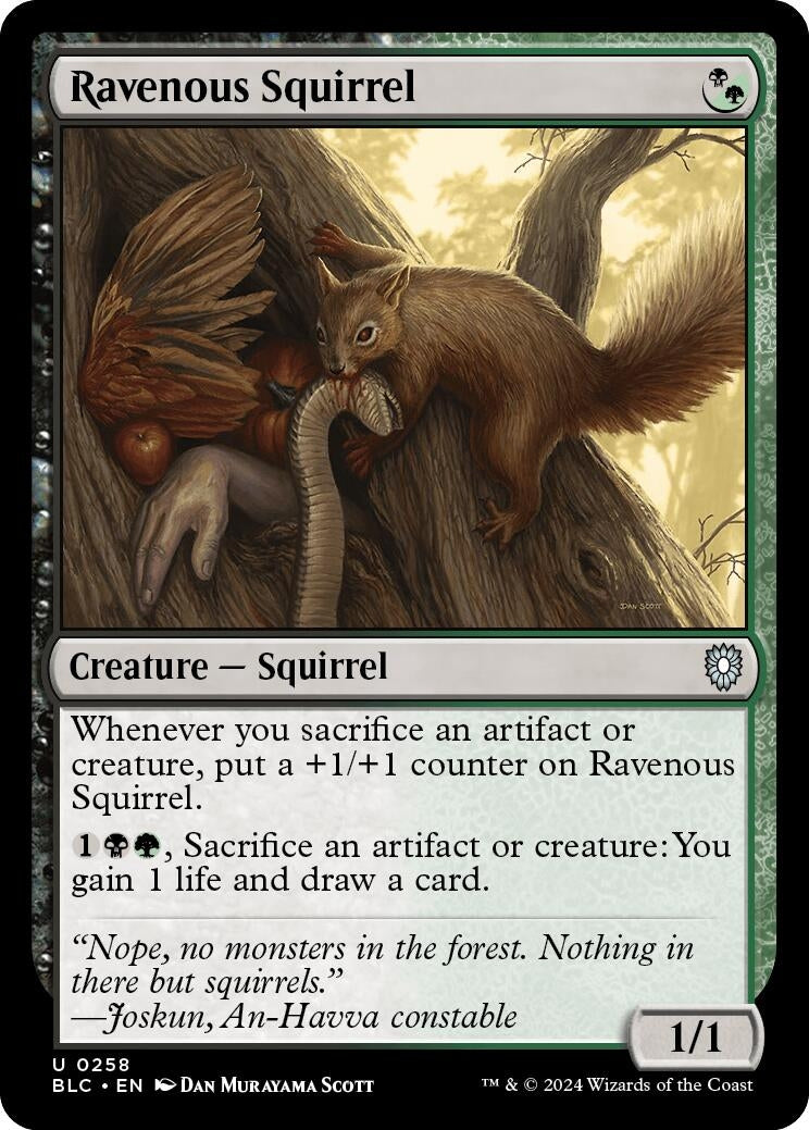 Image for Ravenous Squirrel (258) (Commander: Bloomburrow) - Magic: The Gathering