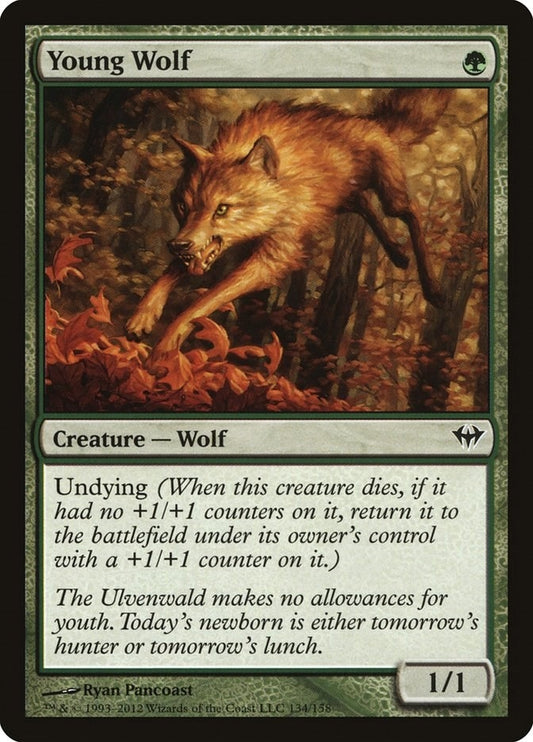 Image for Young Wolf (134) (Dark Ascension) - Magic: The Gathering