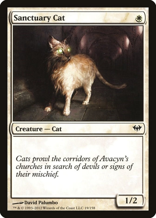 Image for Sanctuary Cat (19) (Dark Ascension) - Magic: The Gathering