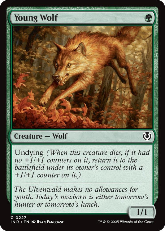 Image for Young Wolf (227) (Innistrad Remastered) - Magic: The Gathering