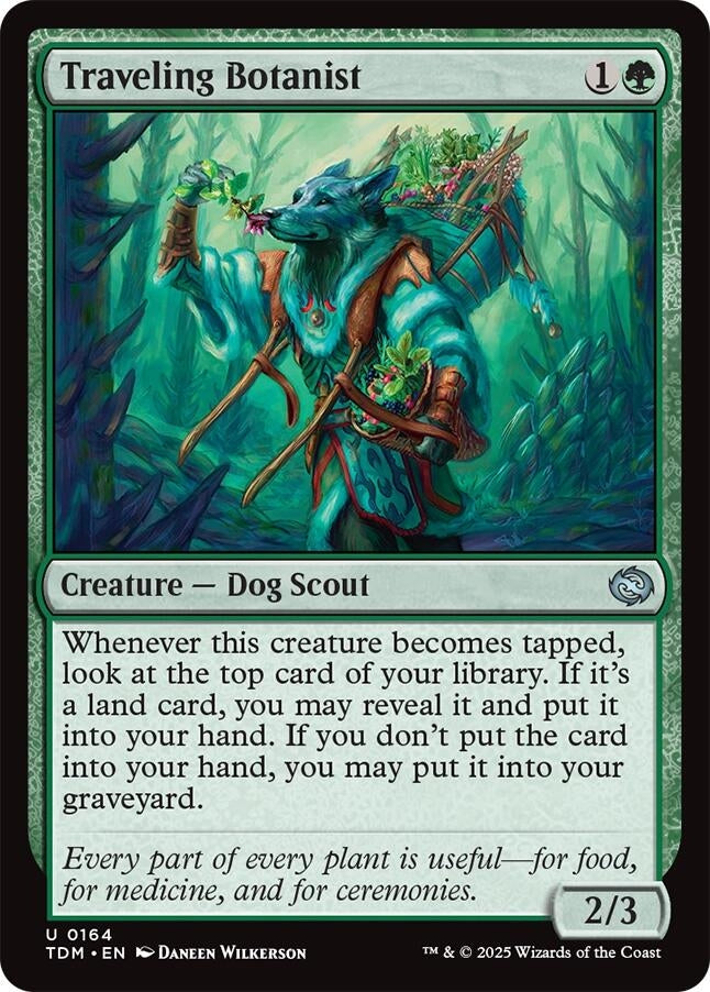 Image for Traveling Botanist (164) (Tarkir: Dragonstorm) - Magic: The Gathering