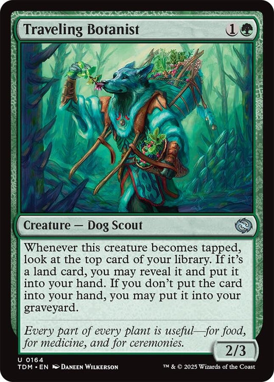 Image for Traveling Botanist (164) (Tarkir: Dragonstorm) - Magic: The Gathering