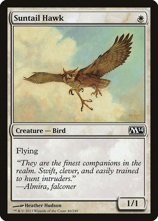Image for Suntail Hawk (40) (Magic 2014 (M14)) - Magic: The Gathering