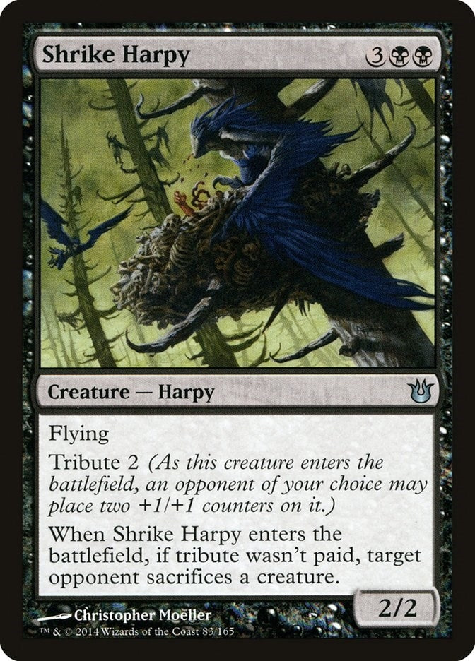 Image for Shrike Harpy (83) (Born of the Gods) - Magic: The Gathering