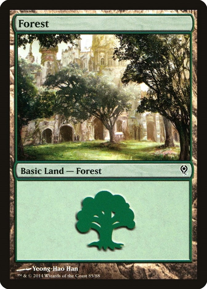 Image for Forest (85) (85) (Duel Decks: Jace vs. Vraska) - Magic: The Gathering